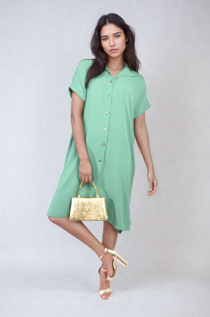 Button Front Shirt Dress