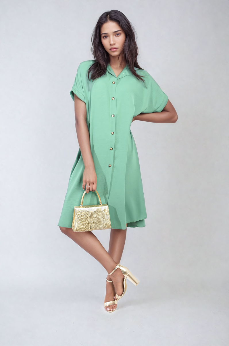 Button Front Shirt Dress